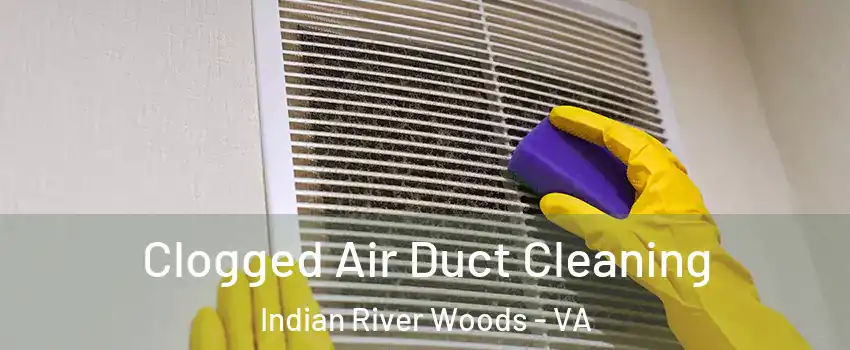 Clogged Air Duct Cleaning Indian River Woods - VA