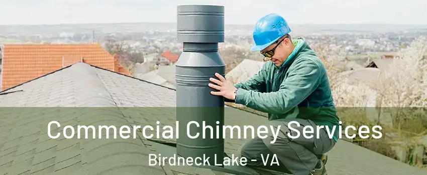 Commercial Chimney Services Birdneck Lake - VA