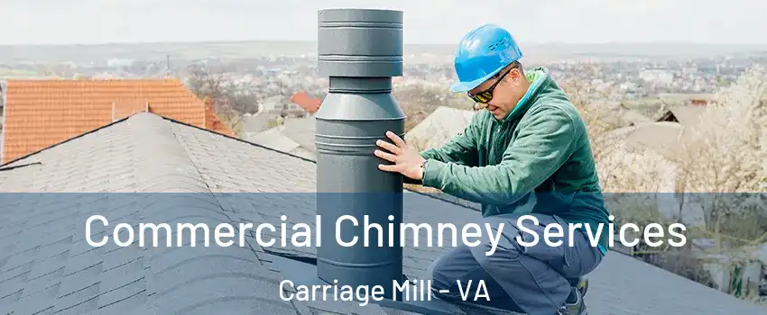 Commercial Chimney Services Carriage Mill - VA