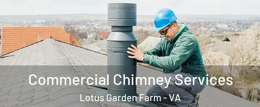 Commercial Chimney Services Lotus Garden Farm - VA