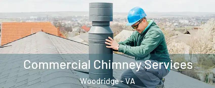 Commercial Chimney Services Woodridge - VA