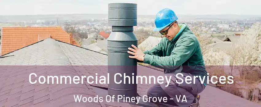 Commercial Chimney Services Woods Of Piney Grove - VA