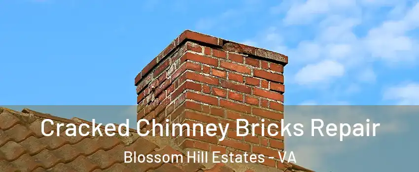 Cracked Chimney Bricks Repair Blossom Hill Estates - VA