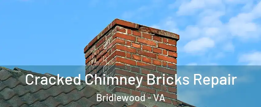 Cracked Chimney Bricks Repair Bridlewood - VA