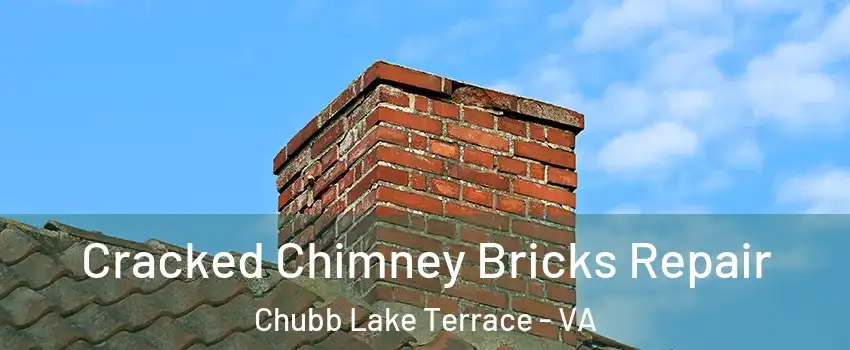 Cracked Chimney Bricks Repair Chubb Lake Terrace - VA