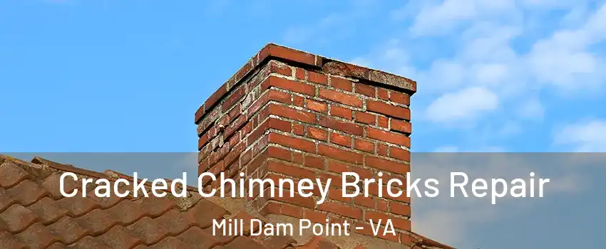 Cracked Chimney Bricks Repair Mill Dam Point - VA