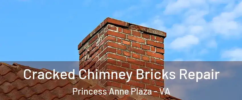 Cracked Chimney Bricks Repair Princess Anne Plaza - VA