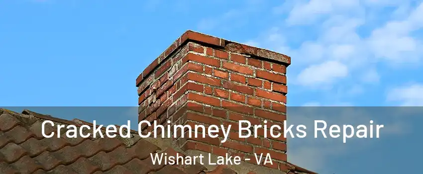 Cracked Chimney Bricks Repair Wishart Lake - VA