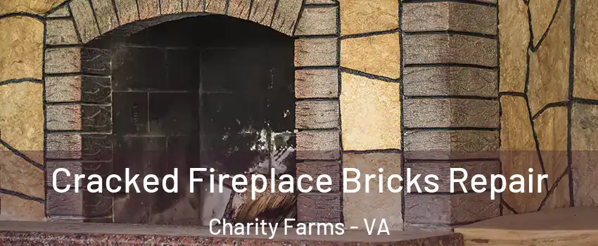 Cracked Fireplace Bricks Repair Charity Farms - VA