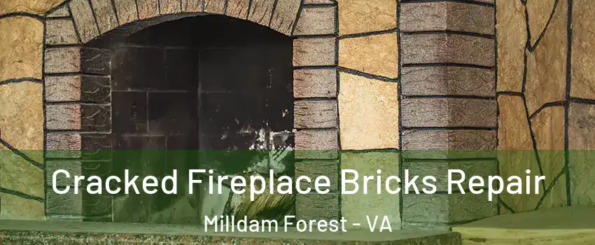 Cracked Fireplace Bricks Repair Milldam Forest - VA