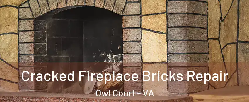 Cracked Fireplace Bricks Repair Owl Court - VA