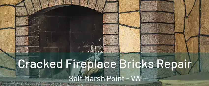 Cracked Fireplace Bricks Repair Salt Marsh Point - VA