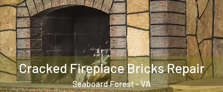 Cracked Fireplace Bricks Repair Seaboard Forest - VA