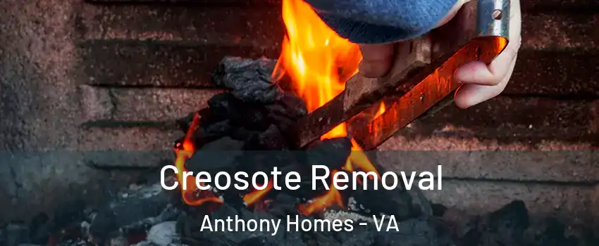 Creosote Removal Anthony Homes - VA