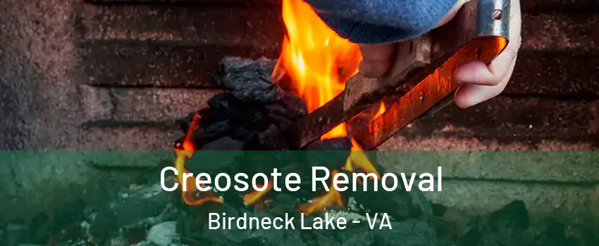 Creosote Removal Birdneck Lake - VA