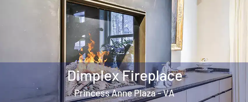 Dimplex Fireplace Princess Anne Plaza - VA