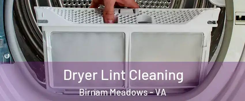 Dryer Lint Cleaning Birnam Meadows - VA