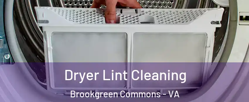 Dryer Lint Cleaning Brookgreen Commons - VA