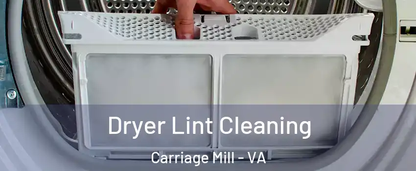 Dryer Lint Cleaning Carriage Mill - VA