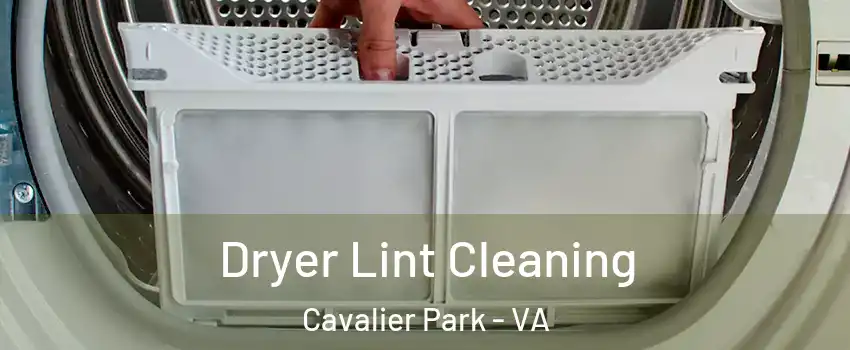 Dryer Lint Cleaning Cavalier Park - VA