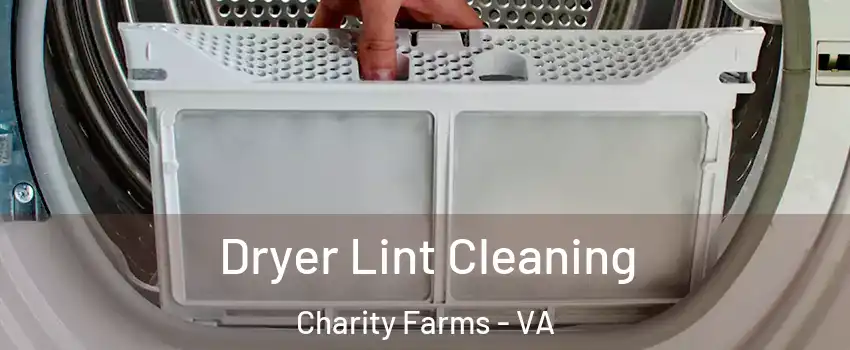 Dryer Lint Cleaning Charity Farms - VA