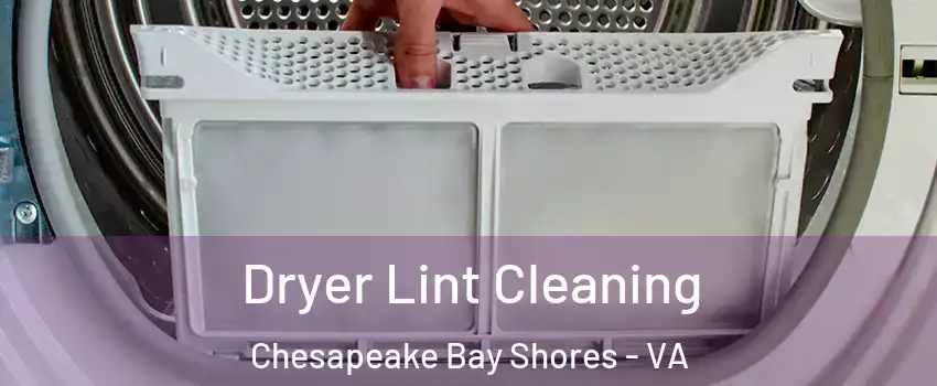 Dryer Lint Cleaning Chesapeake Bay Shores - VA