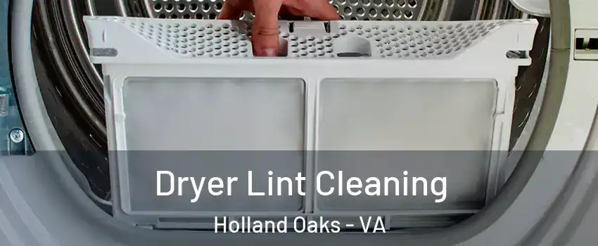 Dryer Lint Cleaning Holland Oaks - VA