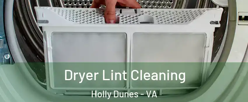 Dryer Lint Cleaning Holly Dunes - VA