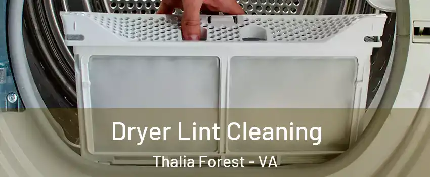 Dryer Lint Cleaning Thalia Forest - VA