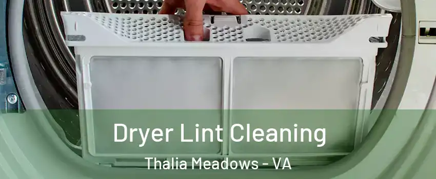 Dryer Lint Cleaning Thalia Meadows - VA