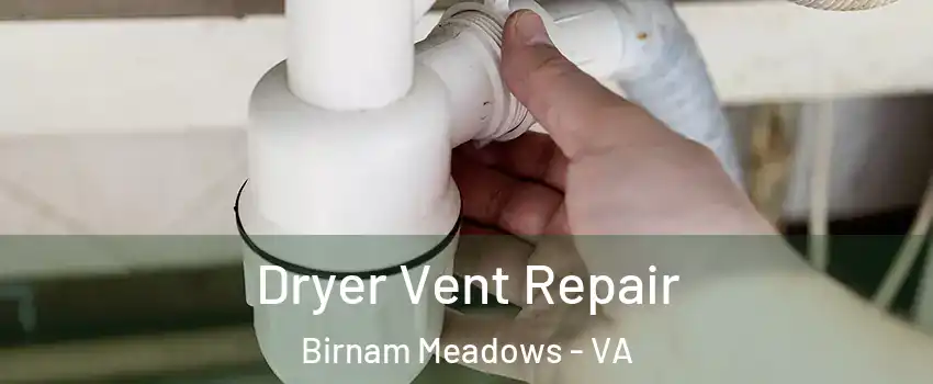 Dryer Vent Repair Birnam Meadows - VA