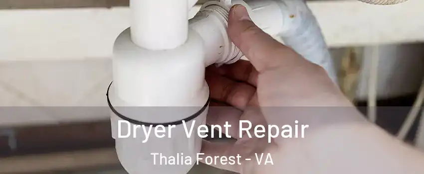 Dryer Vent Repair Thalia Forest - VA