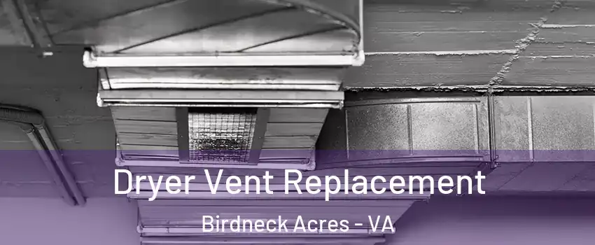 Dryer Vent Replacement Birdneck Acres - VA