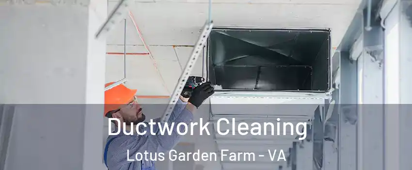 Ductwork Cleaning Lotus Garden Farm - VA