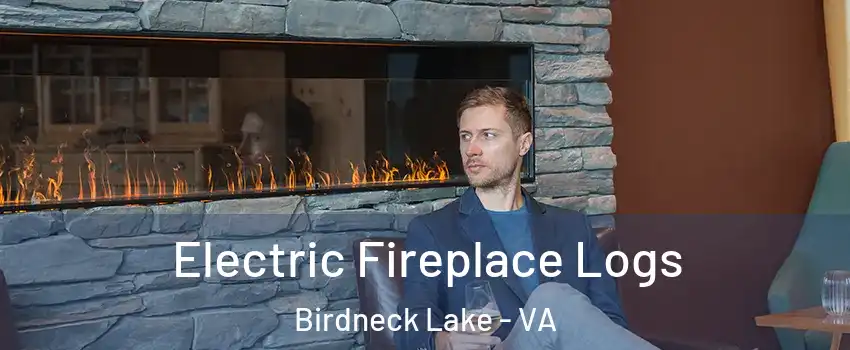 Electric Fireplace Logs Birdneck Lake - VA