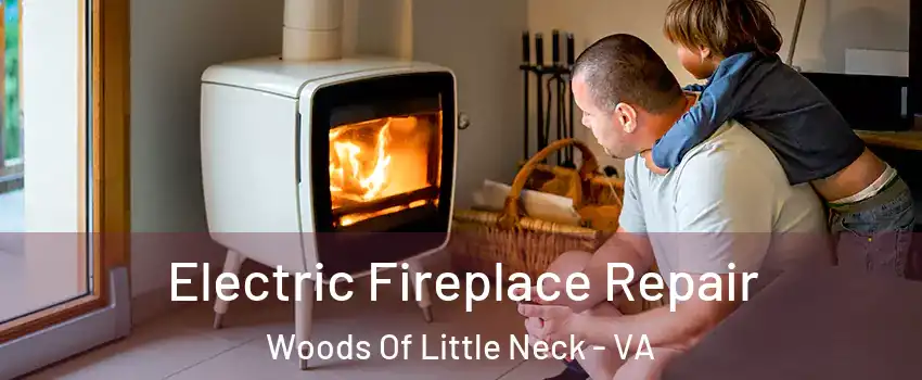 Electric Fireplace Repair Woods Of Little Neck - VA