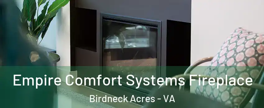 Empire Comfort Systems Fireplace Birdneck Acres - VA