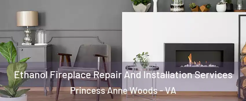 Ethanol Fireplace Repair And Installation Services Princess Anne Woods - VA