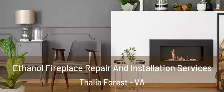 Ethanol Fireplace Repair And Installation Services Thalia Forest - VA