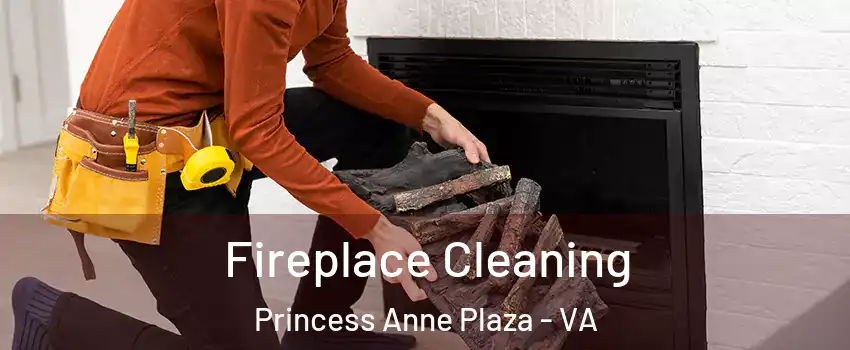 Fireplace Cleaning Princess Anne Plaza - VA