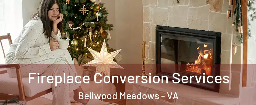 Fireplace Conversion Services Bellwood Meadows - VA