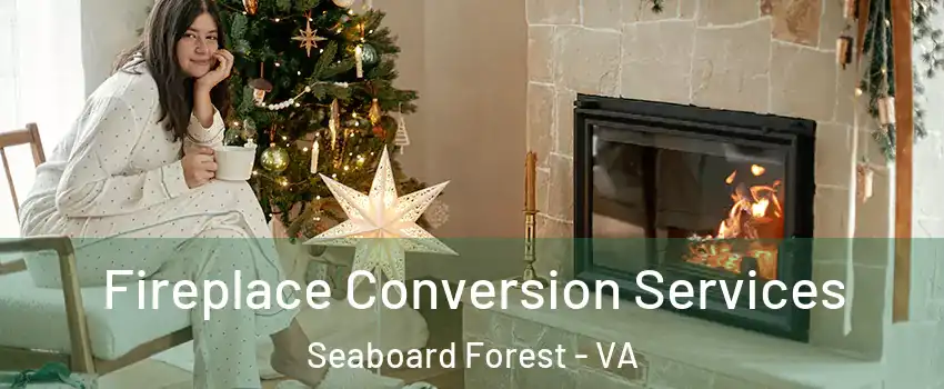 Fireplace Conversion Services Seaboard Forest - VA