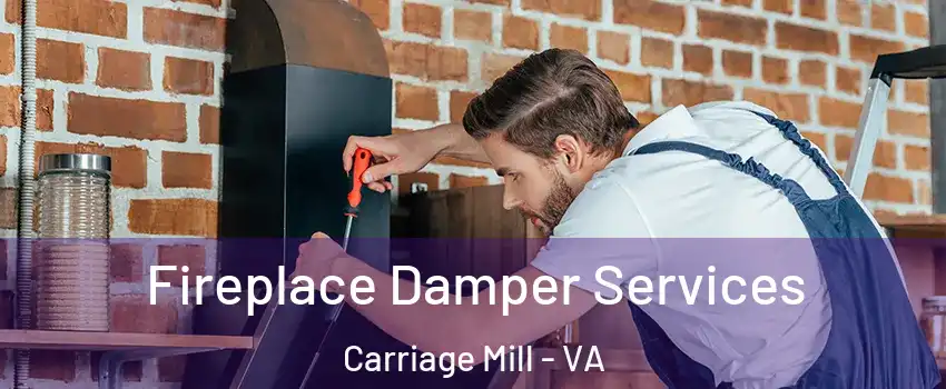 Fireplace Damper Services Carriage Mill - VA