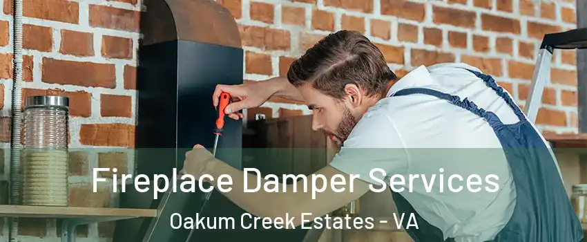 Fireplace Damper Services Oakum Creek Estates - VA