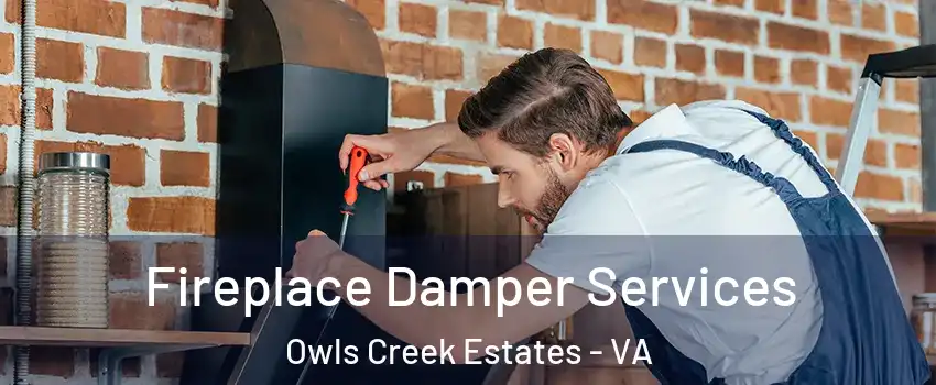 Fireplace Damper Services Owls Creek Estates - VA