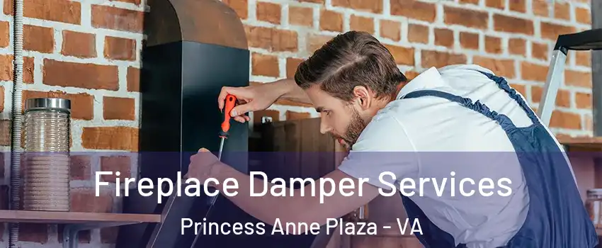 Fireplace Damper Services Princess Anne Plaza - VA