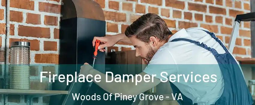 Fireplace Damper Services Woods Of Piney Grove - VA