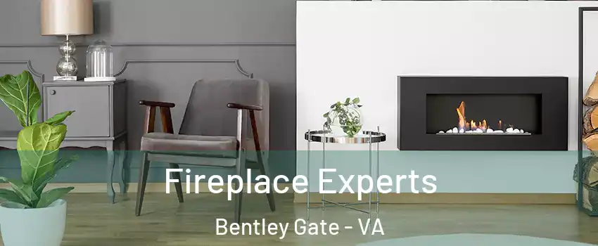 Fireplace Experts Bentley Gate - VA