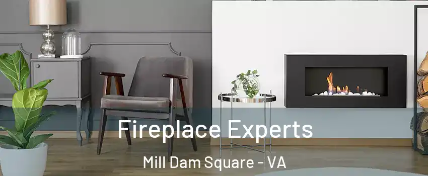 Fireplace Experts Mill Dam Square - VA