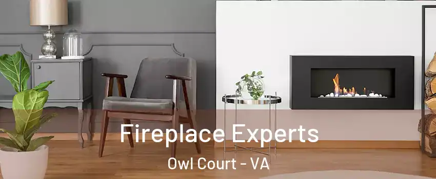 Fireplace Experts Owl Court - VA